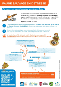 Carte avec la localisation et les coordonn&eacute;es des relais o&ugrave; d&eacute;poser un animal en d&eacute;tresse en Charente-Maritime
